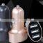 3.1 A smart car charger Fast car charger