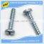 China manufacturer nonstandard threaded slotted phillips screw