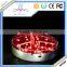 Trade Assurance Approved Wedding /Party /Holiday Decoration bottle glorifiers led light base