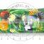Ben10 snacks For Children / 120bags In bottle CC Stick Candy