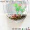 morden design wall mounted high transparent acrylic fish or plant display wholesale