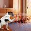 Indoor Custom Electric Wireless Dog Fence System