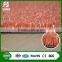 Paddle Tennis Court artificial grass of sports / special wholesale