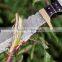 AM-1521 High quality damascus hunting knife for camping handmade pocket knifes
