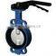 Electric Actuated Butterfly Valve PN16&PN25