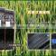 Xifeng Irrigation - Crops drip tape /Plastic dripline for watering /Drip tubes