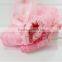 New arrival Korea girls cotton lace boot custom socks