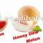 Hot Sale in Amazon Stainless Steel 304 Magic Fruit Slicer Watermelon Slicer