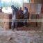 Premium Quality Coconut Fiber