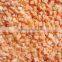 Frozen Carrot Exporter