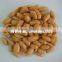 HACCP&ISO certified hot sell and top quality roasted and salted peanuts in China