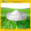 GMP manufacturer supply 100% Natural Sweetener Stevia Powder Extract
