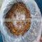 pickled nameko mushroom in brine canned mushroom brined nameko mushroom