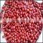 JSX sprouting adzuki beans Fresh high quality small red beans