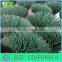 WY-CC002 2016 round and natural bamboo flower sticks