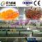professional and factory price orange canned production line