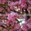 Artificial Pink Silk Indoor Natural Cherry Blossom Tree