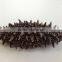 nature and healthy , sea cucumber price , at reasonable prices , small lot order available