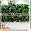 Factory Wholesale artificial grass wall decor covering plastic grass to Canada