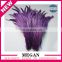 Factory wholesale prime quality dyed rooster tail feather