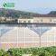 Plastic film Selling Used Tunnel Greenhouse