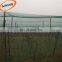 HDPE black plastic mesh netting with UV