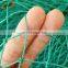 PE knotted sport fence net
