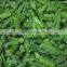Green Food Frozen Asparagus Tips Frozen Asparagus New Crop Factory Price Good Quality