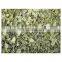 Cheapest price Centella Asiatica/High quality centella Asiatica dried leaves from Vietnam