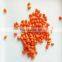 IQF Healthy Sea Buckthorn Frozen Berries