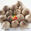 Black Garlic Product Bulk Sale