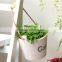 Cheap Eco-friendly Wood flower box flower pot for sale
