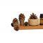 Solid Wood Natural Pine Cone Diffuser