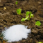 Super Absorbent Water Gel Potassium Sodium Polyacrylate Powder Sap Water Retention Agent for Agriculture