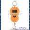 40kg Digital Hanging Weighing Scales for Fishing /smart Parcel scales