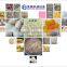 Artificial rice processing equipment line