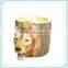 color glazed flower pot for home decor