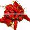 Chinese Red Pepper