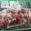 Lead Acid Battery Charger for 220VDC