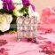 silver fashionable wedding candelabra, candle holders for wedding table center pieces,crystal table center piece(CAN-015)