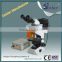 Sinher Manufacturer trinocular microscope with camera                        
                                                Quality Choice