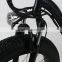 electric bike bicycle Li-poly battery 300W motor chinese electric bike