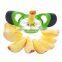 cooking tools apple slicer green color Apple Cutter kitchen utensils set silicone apple wedger