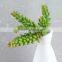 Potted Artificial Mini Succulent Plant for Home Decorations / Garden Decorations