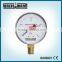 Wise cng bar pressure gauge