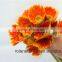 Wholesale High Quality Gerbera Flowers Golden Gerbera From CHINA