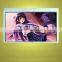 4.3 inch TFT LCD display module with 8-bit and 16-bit MCU interface