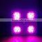 Geyapex SOLO 365w COB LED Grow Lights with Full Spectrum Output Best Seller 2015