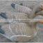 XPE lifelike floatable Canada decoy goose