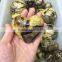 High Quality Natural Septarium Turtle Rock Heart Cordiform Stone For Sale